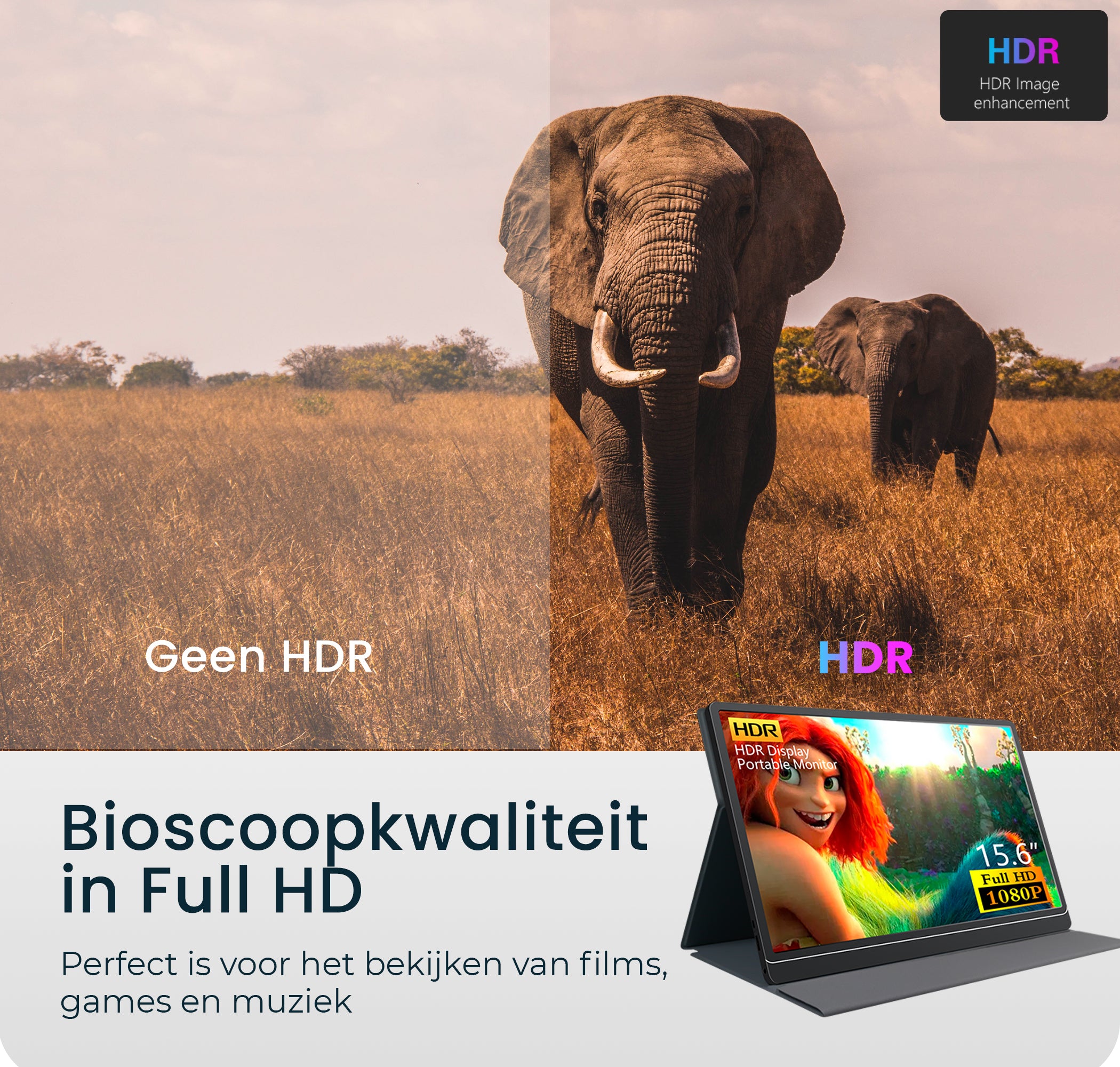 Portable Monitor met Touchscreen