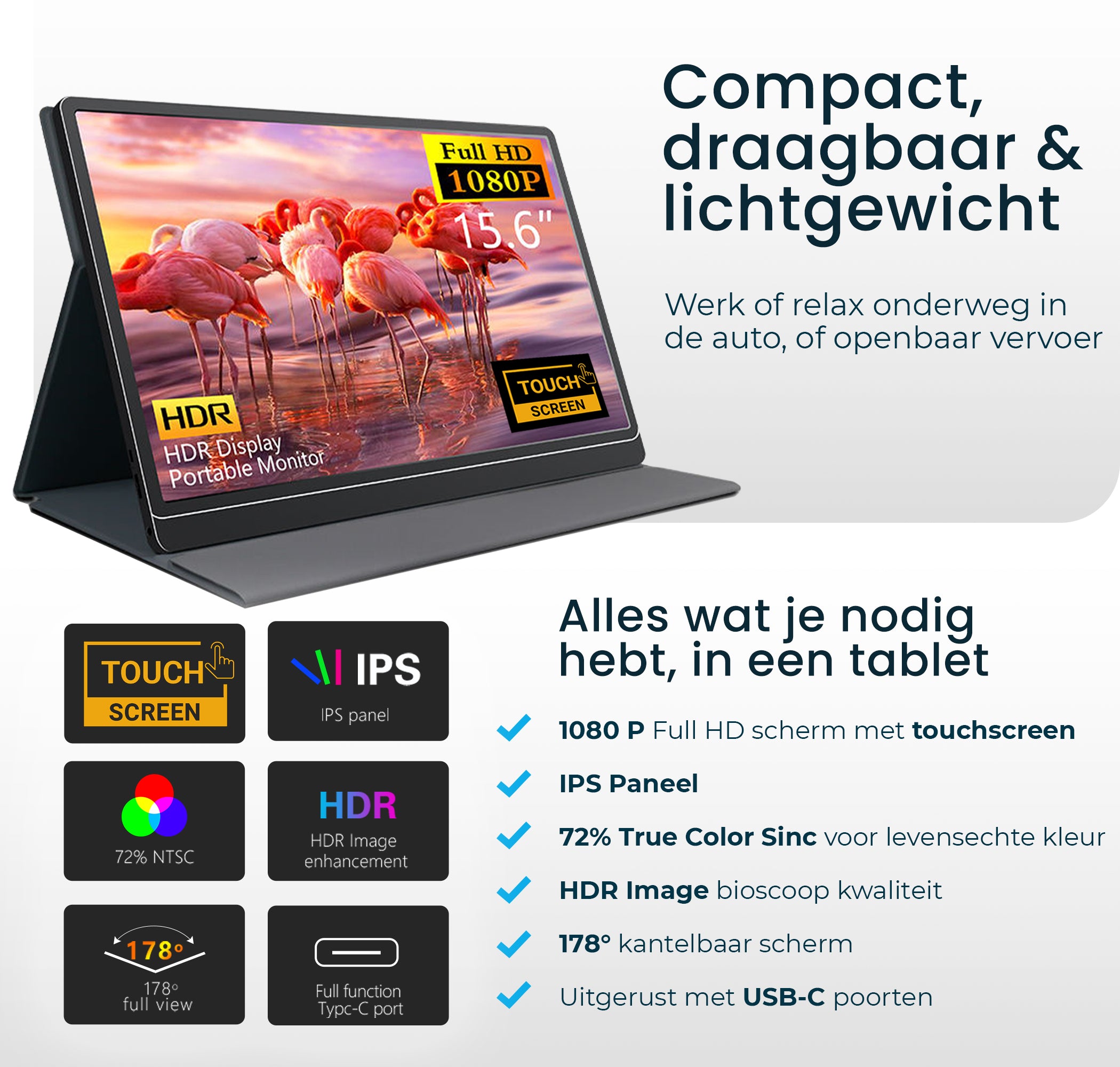 Portable Monitor met Touchscreen