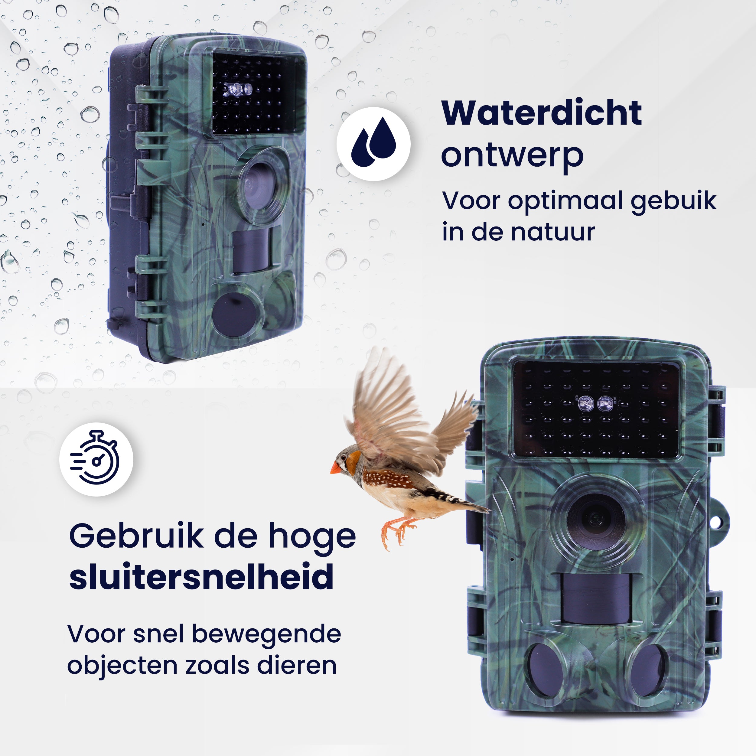 Wildcamera
