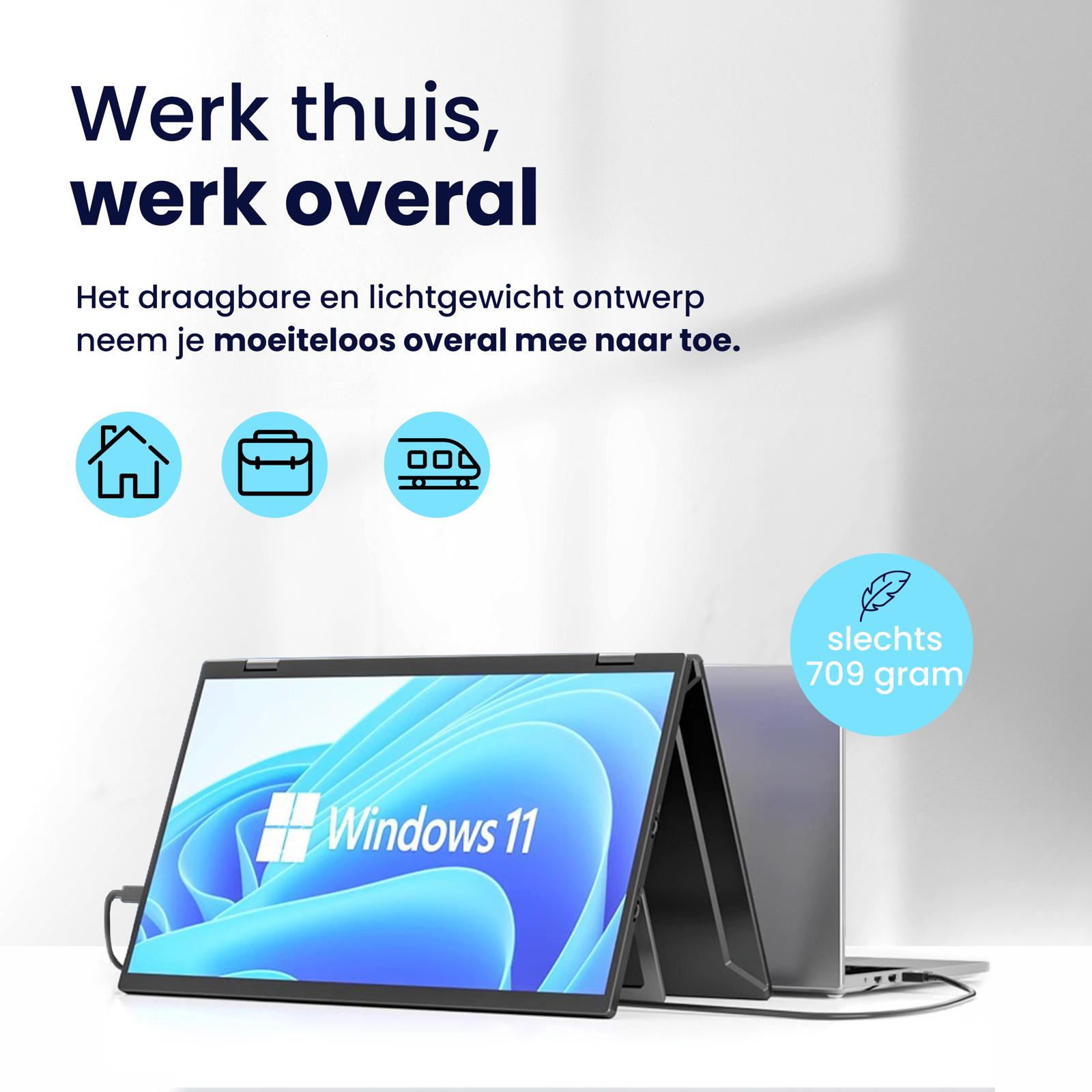 Portable monitor pro