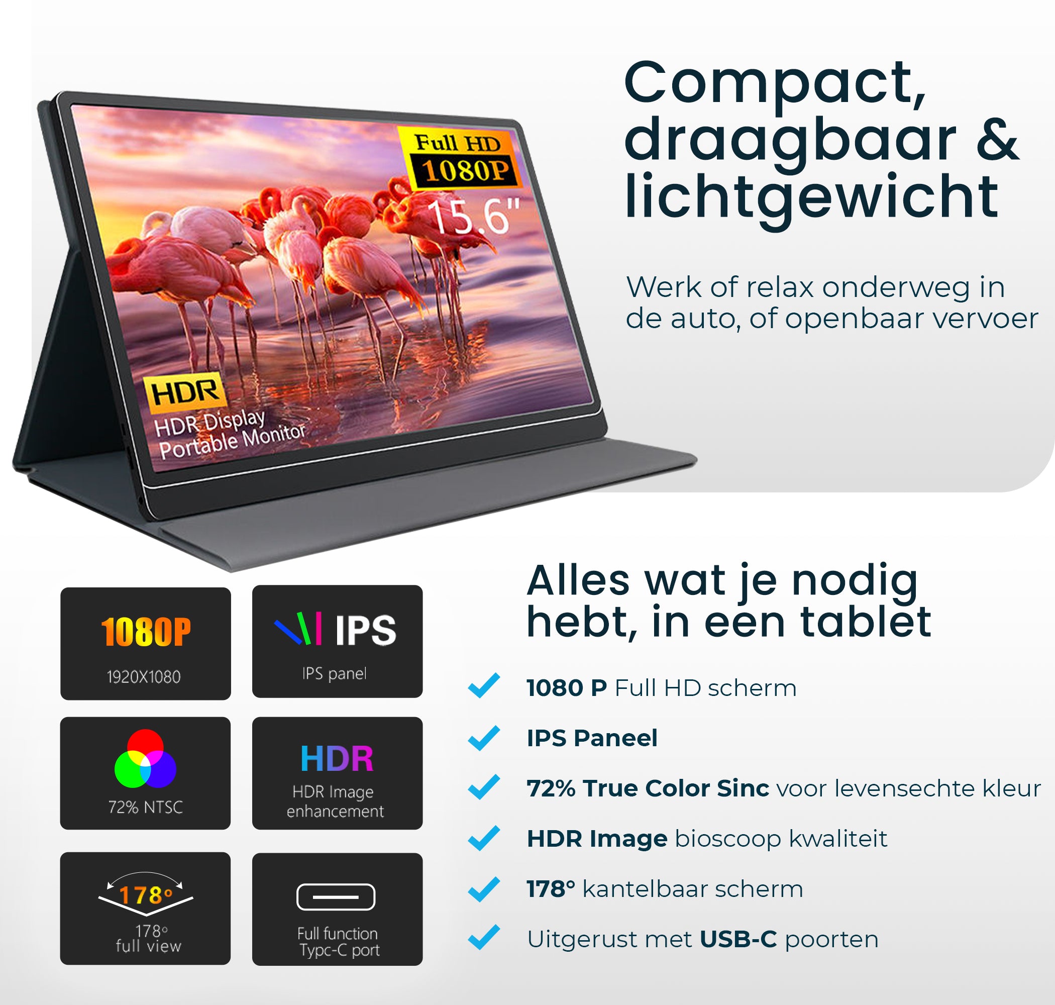 Portable Monitor