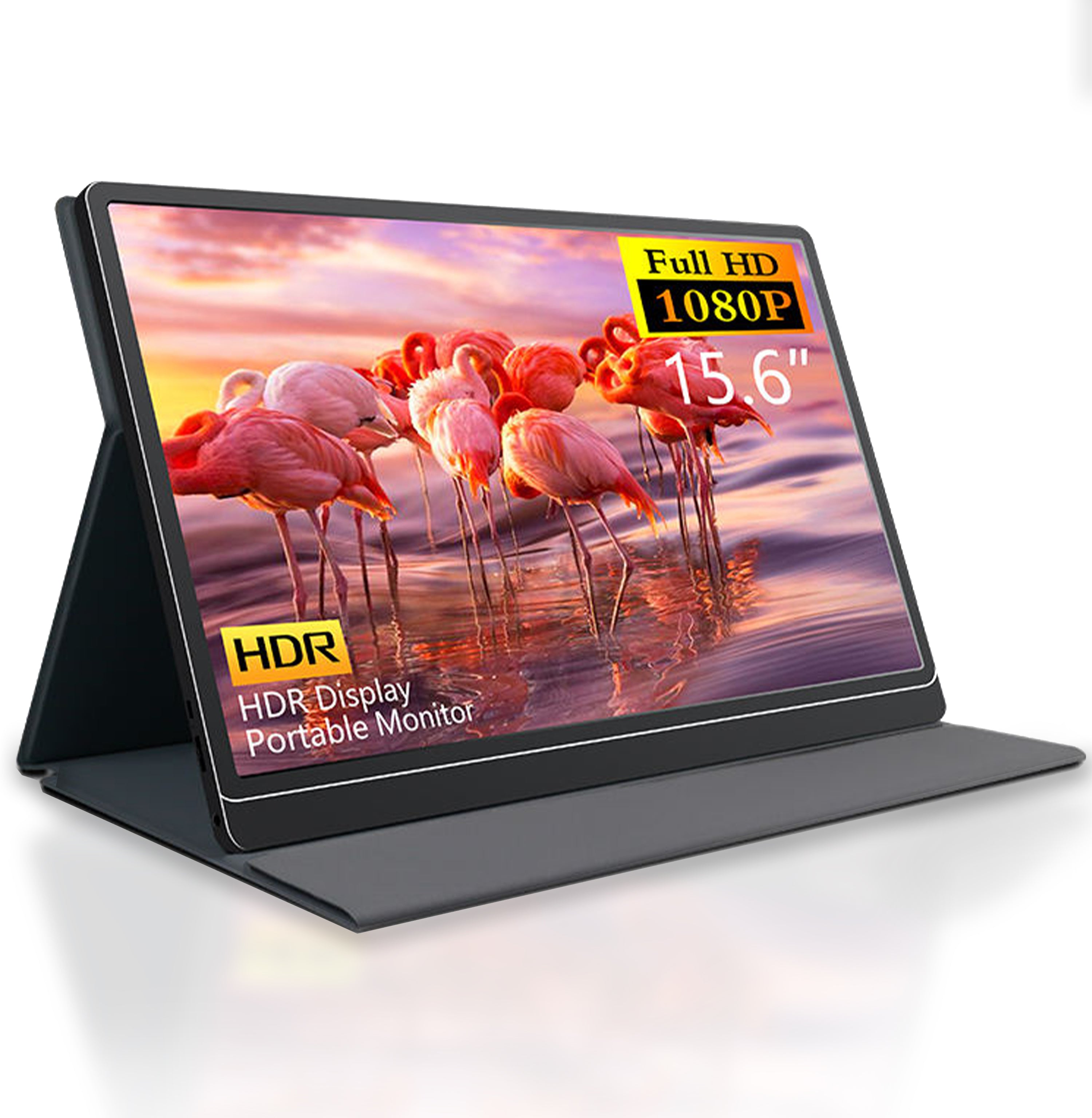 Portable Monitor